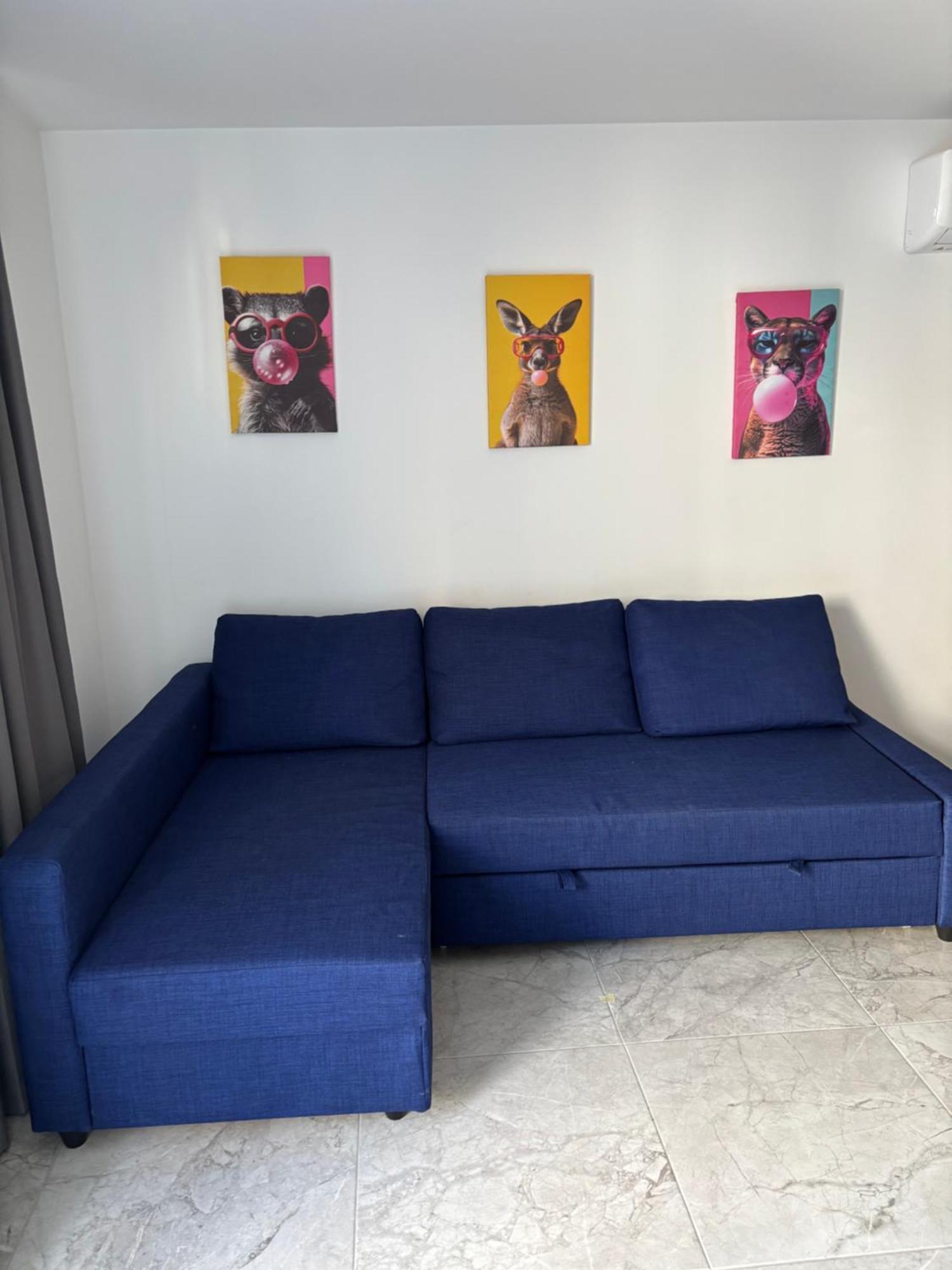 איה נאפה Luca Apts Napa מראה חיצוני תמונה